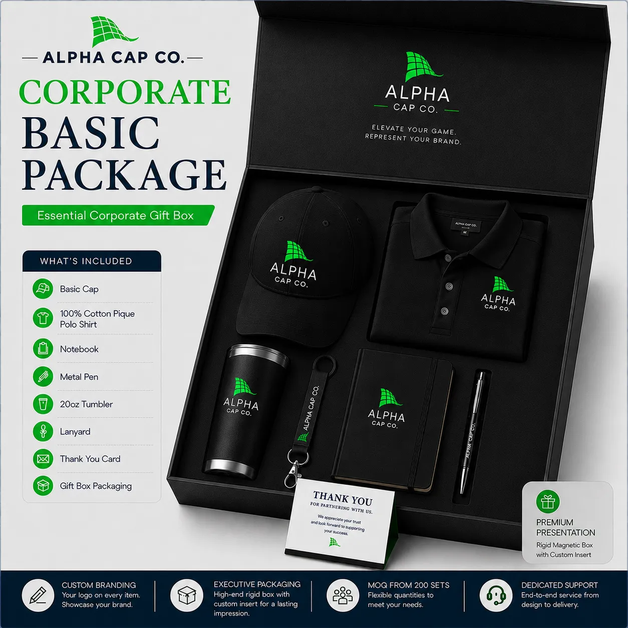 Corporate Basic Package